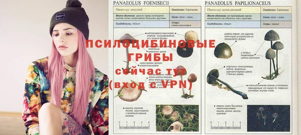 кокаин VHQ Дмитриев