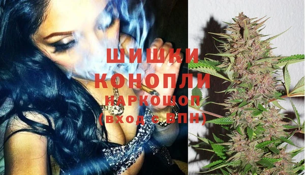 мдпв Дмитров